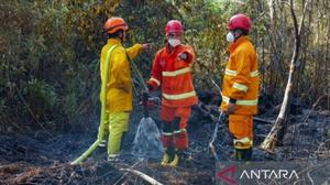 BPBD Kaltim Susun Regulasi Karhutla, Perkuat Tata Kelola Lingkungan Berbasis Perda Baru