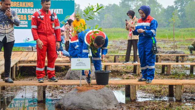 Sinergi Kilang Pertamina Plaju dan Pemprov Sumsel Bangun Taman Rawa di Kawasan Jakabaring
