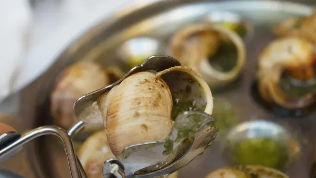 Ilustrasi Escargot