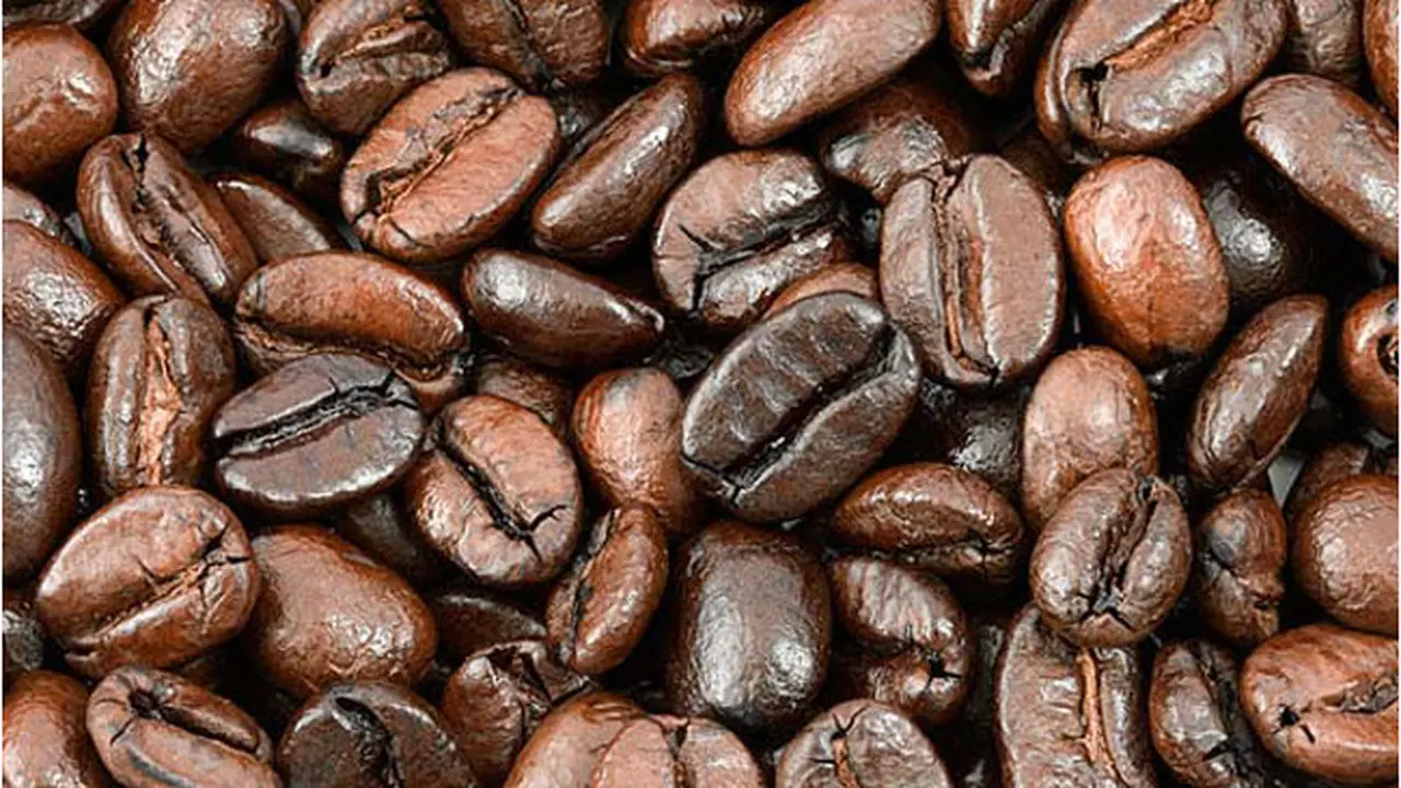 Ilustrasi Biji Kopi