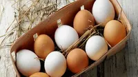 Pernahkah Anda bertanya-tanya apa perbedaan antara kedua jenis telur ini?