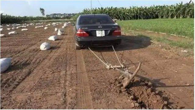 6 Potret Alih Fungsi Mobil untuk Pekerjaan di Sawah Ini Nyeleneh Banget
