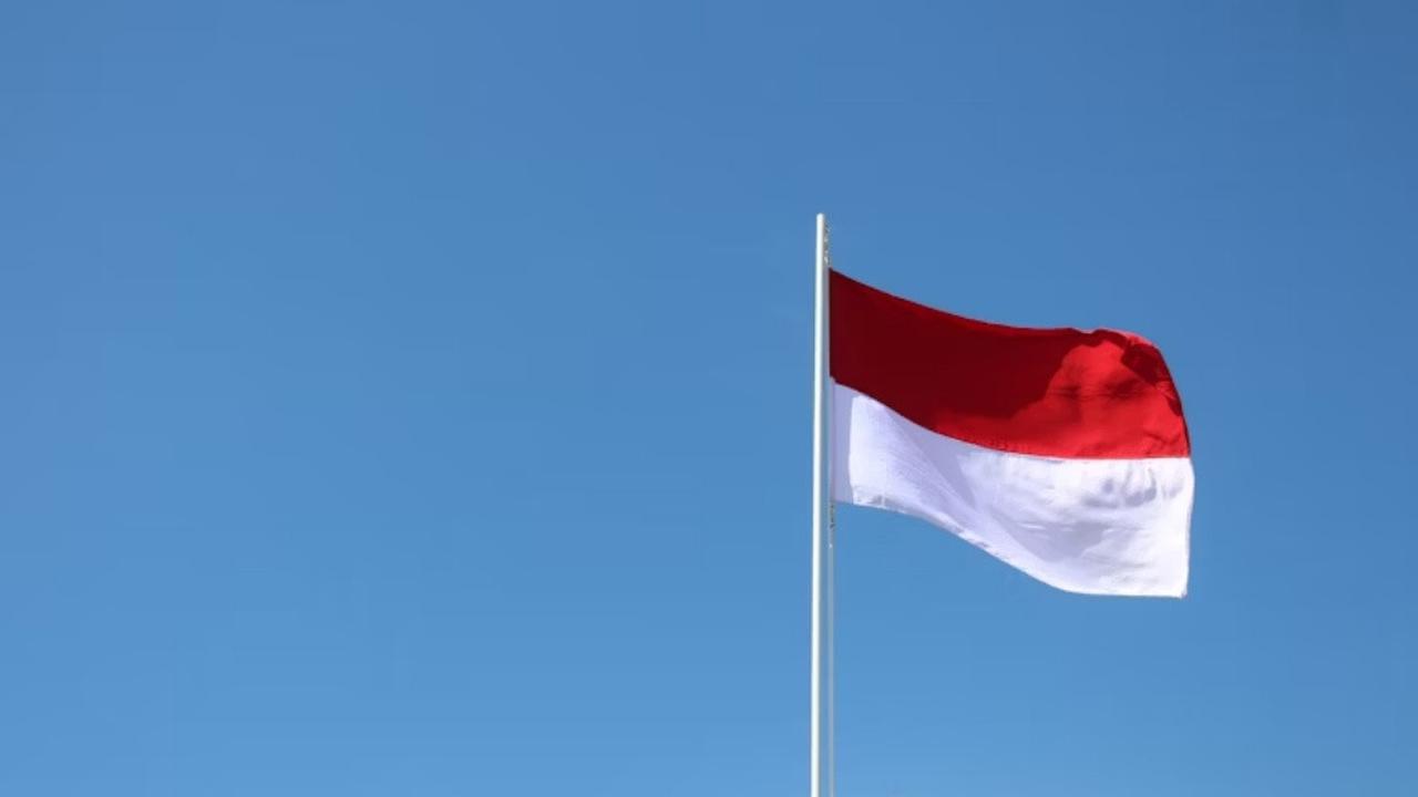 Aturan Main dan Mekanisme Lomba 17-an Trenggiling Kardus, Permainan Viral dan Seru Rayakan HUT RI