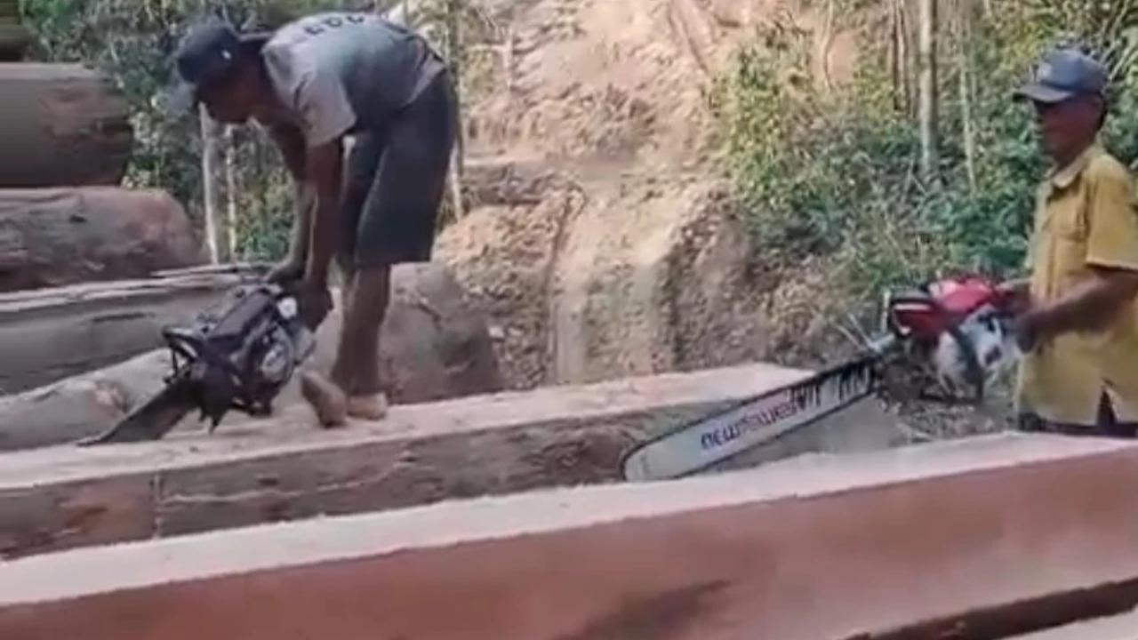 Viral! Rekaman Ilegal Logging di Lampung Bikin Warga Ketakutan