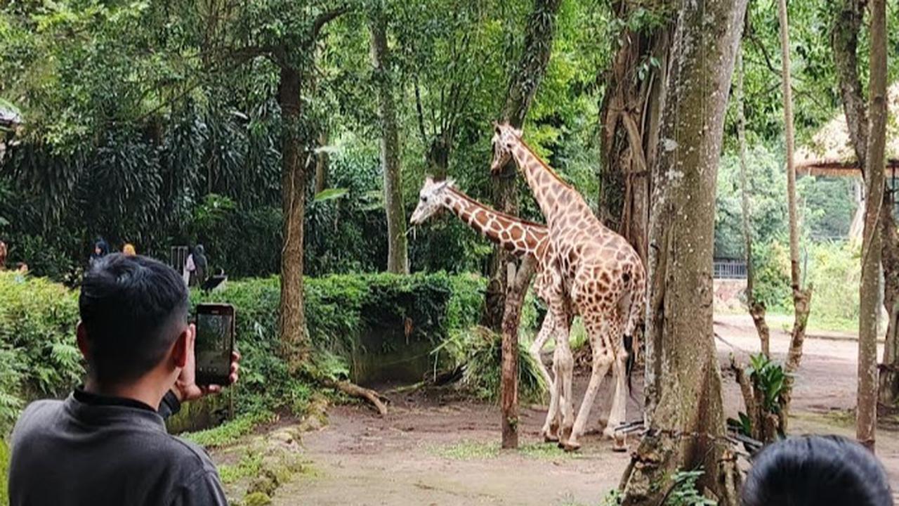 Bandung Zoo