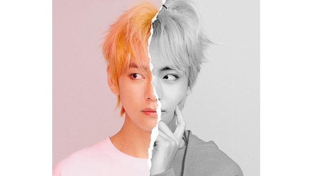 V BTS (Big Hit Entertainment via Soompi)