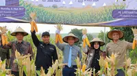 Kolaborasi Jadi Kunci Tingkatkan Produktivitas Jagung Nasional