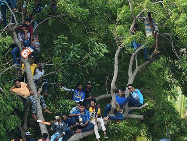 Suporter kriket Sri Lanka menonton pertandingan kriket One Day International (ODI) pertama antara Sri Lanka dan India dari atas sebuah pohon di Stadion Kriket Internasional Rangiri Dambulla di Dambulla (20/8). (AFP Photo/Lakruwan Wanniarachchi)