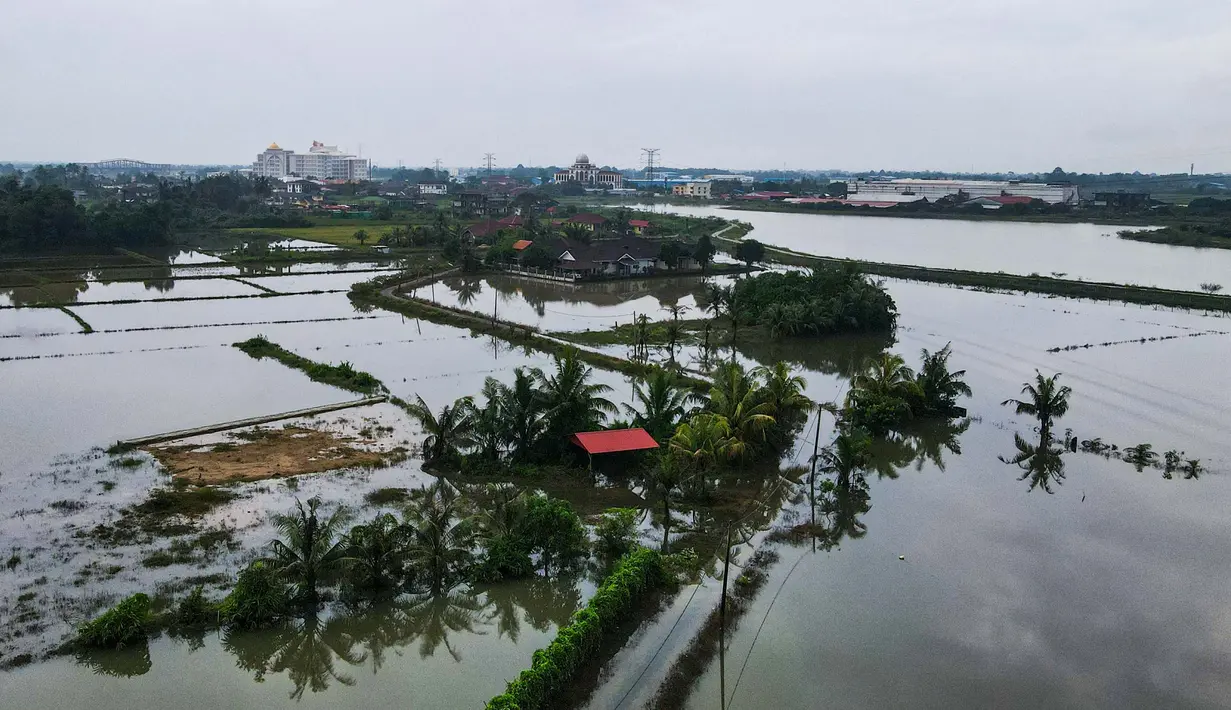 Hingga Sabtu (30/11/2024), banjir besar di Malaysia menyebabkan lebih dari 122.000 orang harus mengungsi. (MOHD RASFAN/AFP)