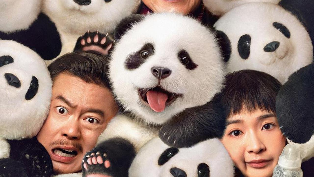 6 Fakta Menarik PANDA PLAN, Salah Satu Film Terbaru Jackie Chan yang Bergenre Action Comedy
