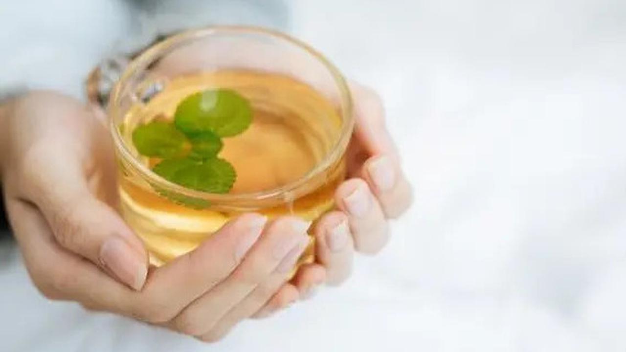 Resep Minuman Herbal Pengendali Kolesterol: Solusi Alami yang Bisa Dibuat di Rumah
