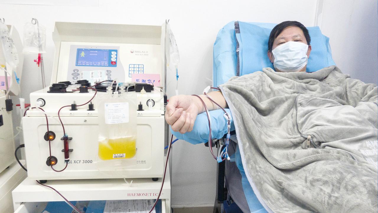 Pulih, Pasien Virus Corona Sumbangkan Plasma Darah