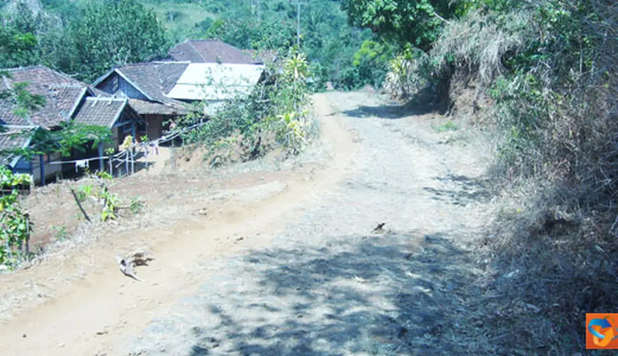 liputan6