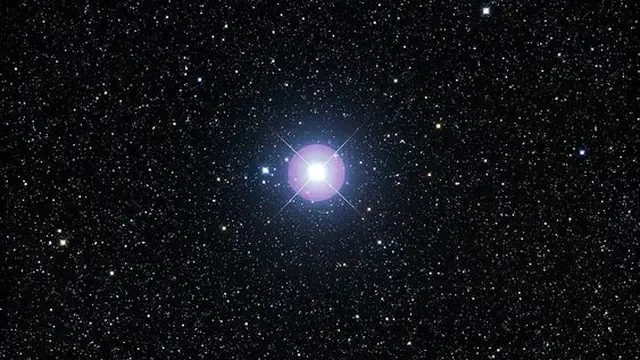 Procyon – Alfa Canis Minoris