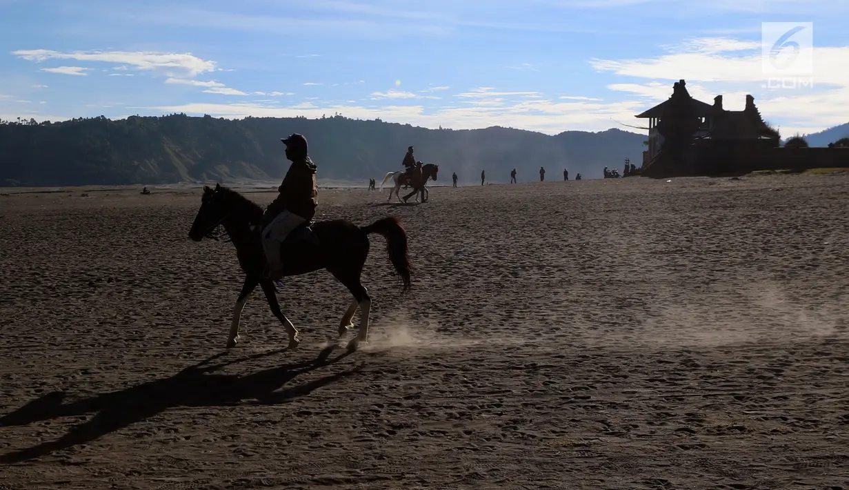 Joki kuda melintas di kawasan di Taman Nasional Bromo Tengger Semeru, Jawa Timur, Sabtu (4/11). Penduduk sekitar menyediakan jasa penyewaan kuda untuk wisatawan yang akan keliling Gunung Bromo. (Liputan6.com/Fery Pradolo)