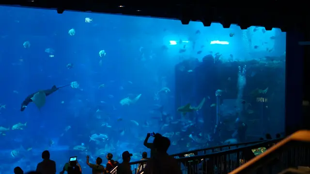 S.E.A Aquarium