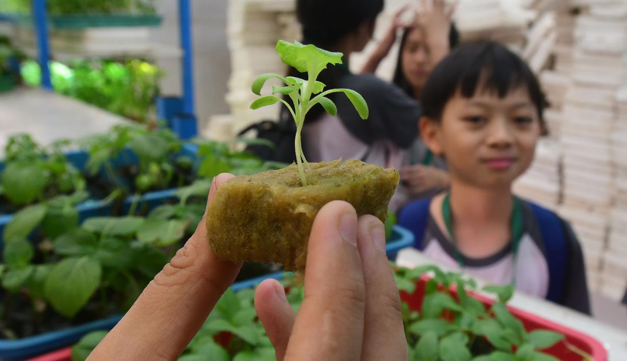 Tempat ini didesain untuk pelajar dan masyarakat umum mempelajari sistem pertanian hidroponik modern, mulai dari persemaian hingga memanen sayur langsung di tempat. Tampak dalam foto, pelajar dari salah satu sekolah dasar menyimak penjelasan terkait pola dan sistem pertanian hidroponik di Ladang Farm, Lebak Bulus, Jakarta, Kamis (30/4/2026). (merdeka.com/Arie Basuki)