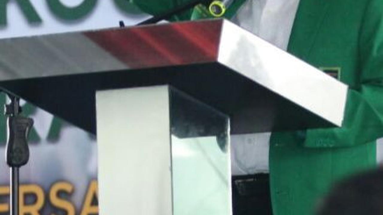 Sementara itu, anggota Majelis Kehormatan PPP Djan Faridz akan dilantik menjadi anggota Dewan Pertimbangan Presiden (Wantimpres).