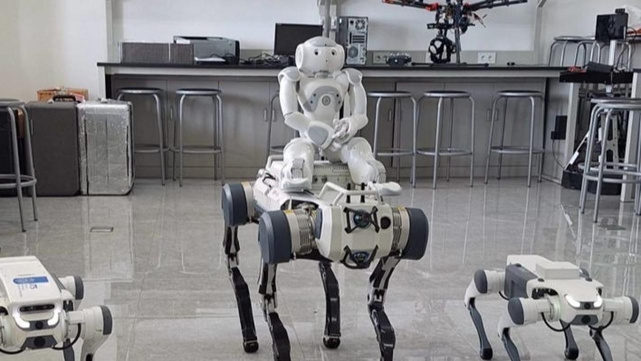 Anjing Robot di China Makin Canggih, Kini Dipakai di Pabrik hingga Medan Perang