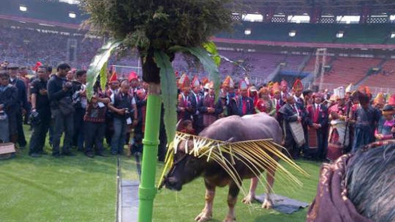Warga Batak gelar pesta Bolon di GBK