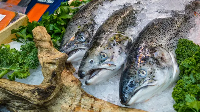 5. Mengandung Vitamin D dan B12