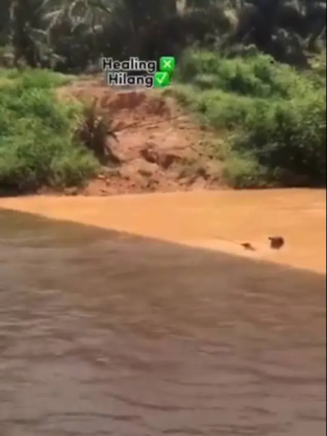 Viral, Aksi Nyeleneh Orang Mancing di Sungai Ini Bikin Netizen Panik