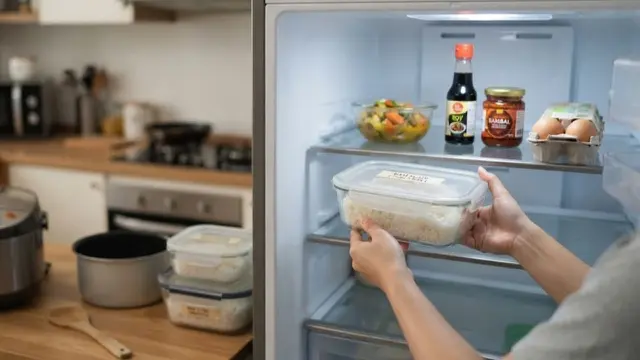 Cara Menyimpan Nasi di Kulkas dengan Wadah dan Suhu yang Tepat