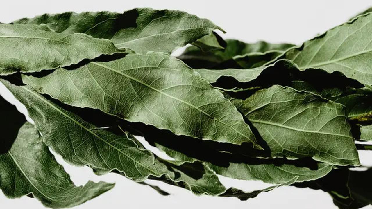 Air Rebusan Sereh dan Daun Salam, Cara Ampuh Redakan Nyeri Asam Urat