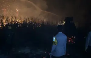 Sempat Padam, Hutan dan Lahan di Mesuji Kembali Membara