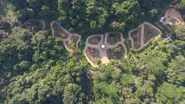 Orangutan Haven