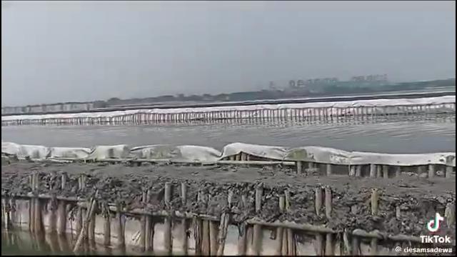 Kasus Pemagaran Laut Kembali Viral, Kali Ini Ada di Bekasi