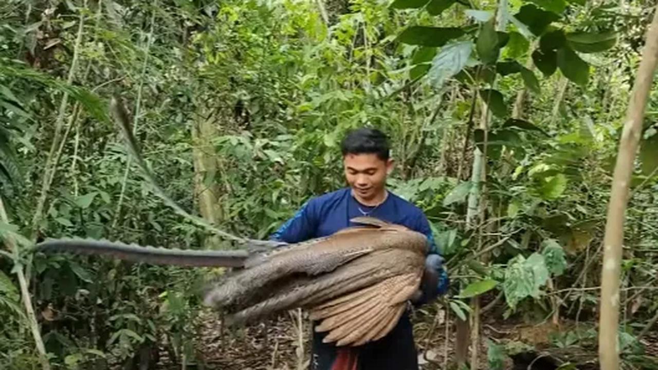 b. Bisa Mendeteksi Gempa Bumi<br>