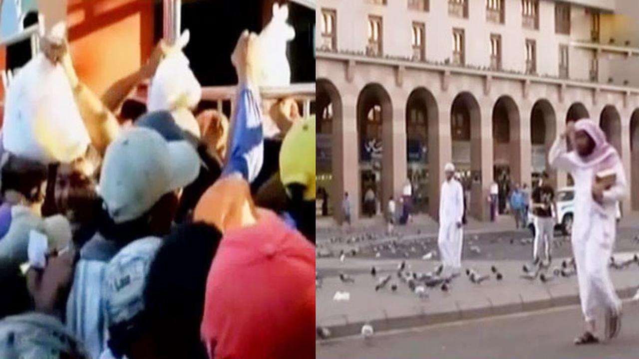 Antre Sembako Gratis hingga Merpati di Masjid Nabawi