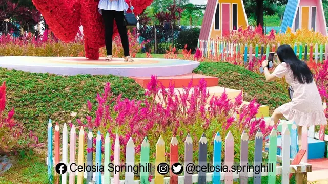Taman Celosia Spring Hill di Palembang (Instagram/@celosia.springhill)
