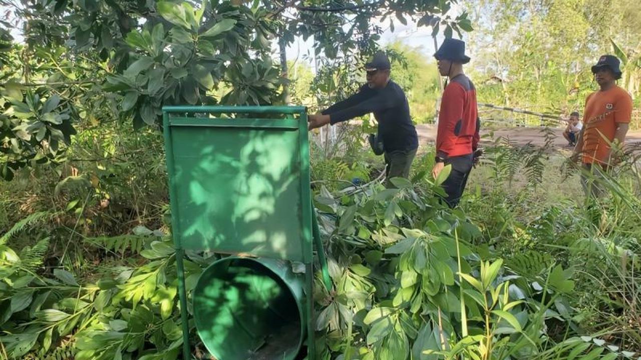 BKSDA Sampit Pasang Perangkap Evakuasi Beruang Madu Resahkan Warga