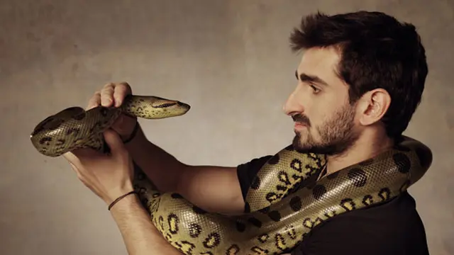 Dipaksa Muntahkan Penyiar TV, Anaconda Bisa Mati?