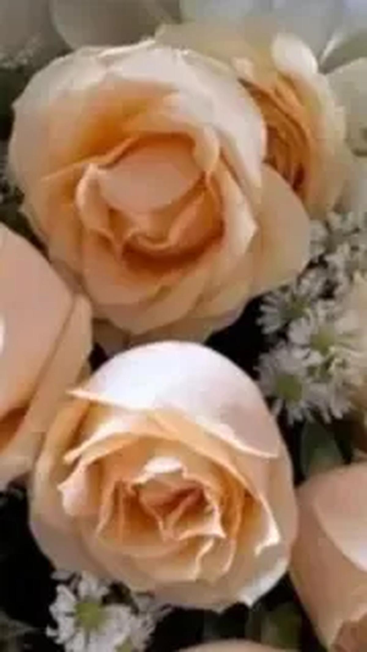 Kakak Tribrata, Trisha Eungelica turut mengunggah foto Instagram Story bunga berwarna peach. Unggahan ini diasumsikan merayakan kelulusan adiknya.