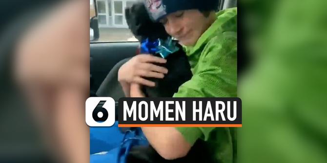 VIDEO: Momen Haru Anjing Bertemu Pemiliknya
