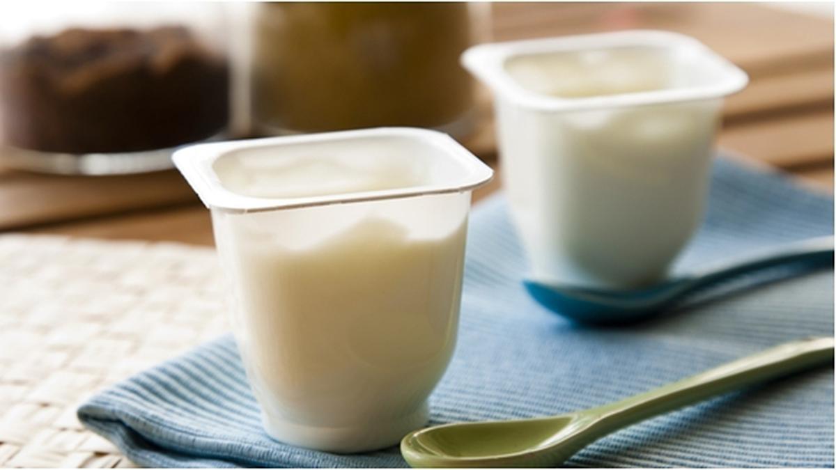 Menu Sehat untuk Diet Langsing Greek Yoghurt Beauty