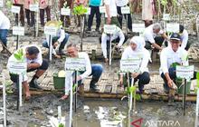 Jawa Timur Punya Lahan Mangrove Terluas di Jawa, Semen Indonesia Sukses Tanam 17.845 Bibit di Festival Mangrove Jatim