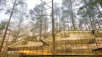 Objek wisata Orchid Forest Cikole, Lembang. (Photo by Bimo Prasetyo on Unsplash)