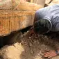 Menteri Purbakala Mesir Khaled el-Anany memeriksa 20 peti mati kuno terbuat dari kayu yang ditemukan di kota Luxor, 15 Oktober 2019. Kementerian menyebutkan penemuan ini merupakan "salah satu yang terbesar dan terpenting" dalam beberapa tahun terakhir. (Egyptian Ministry of Antiquities via AP)