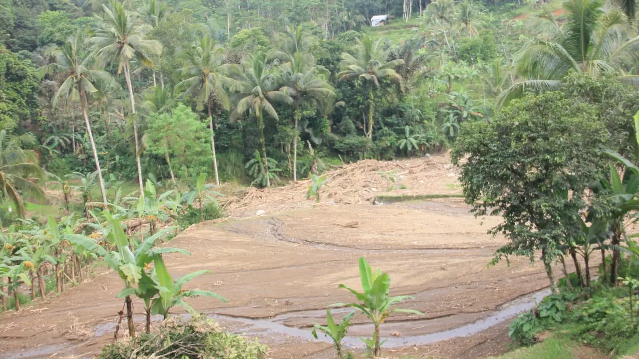 Lahan pertanian di Sukabumi rusak diterjang banjir. (Liputan6.com/Fira Syahrin)