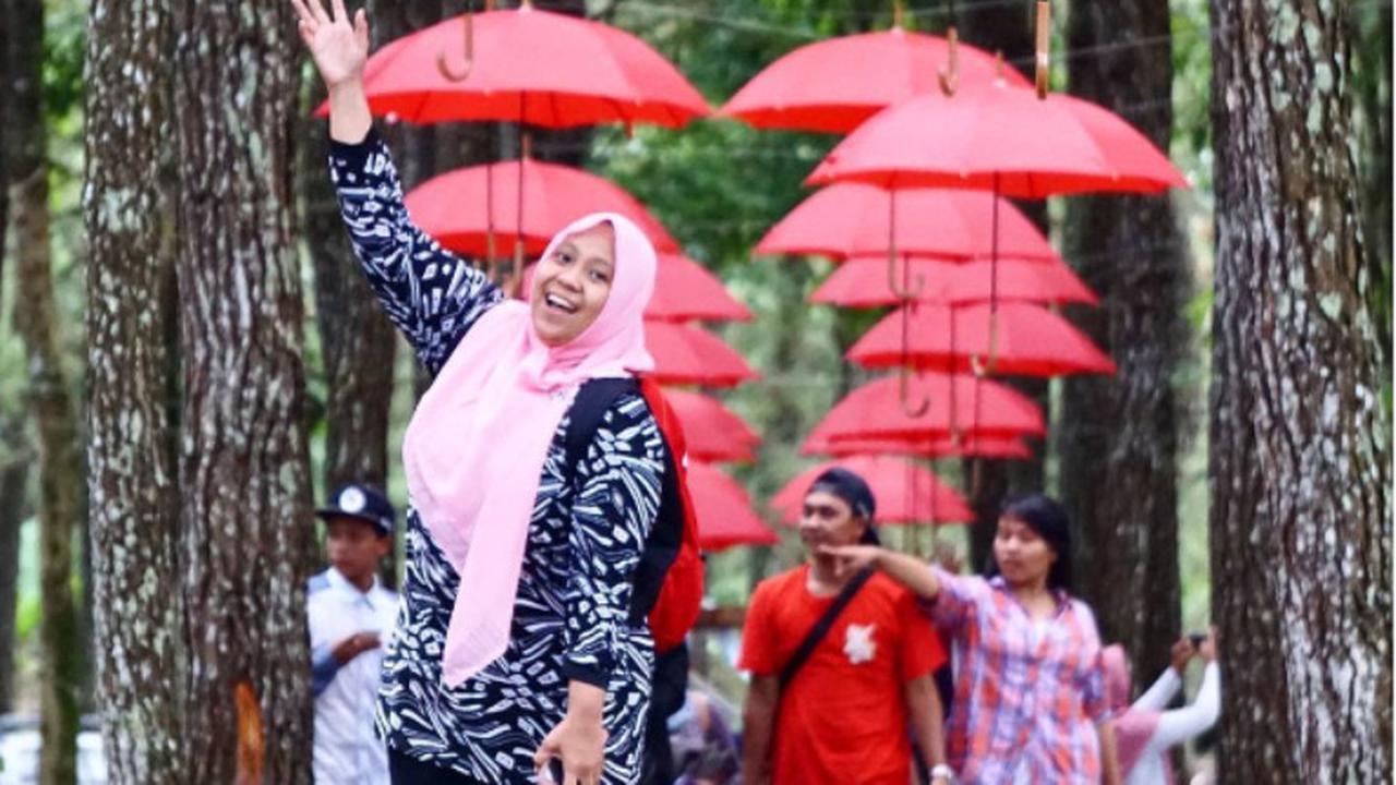 [reservasi]hutan pinus songgon