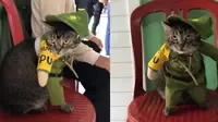 Momen lucu kucing jadi petugas Linmas di TPS saat Pemilu 2024 (Sumber: Twitter/txtdrberseragam)