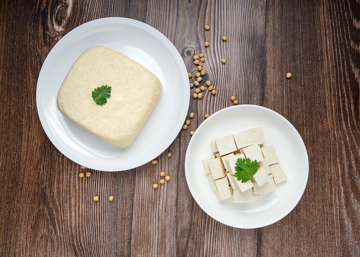 tofu steak 1