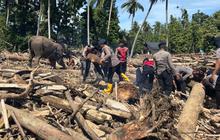 Pemerintah Sebut Kayu Terbawa Banjir Sumatra Dapat Dimanfaatkan Masyarakat