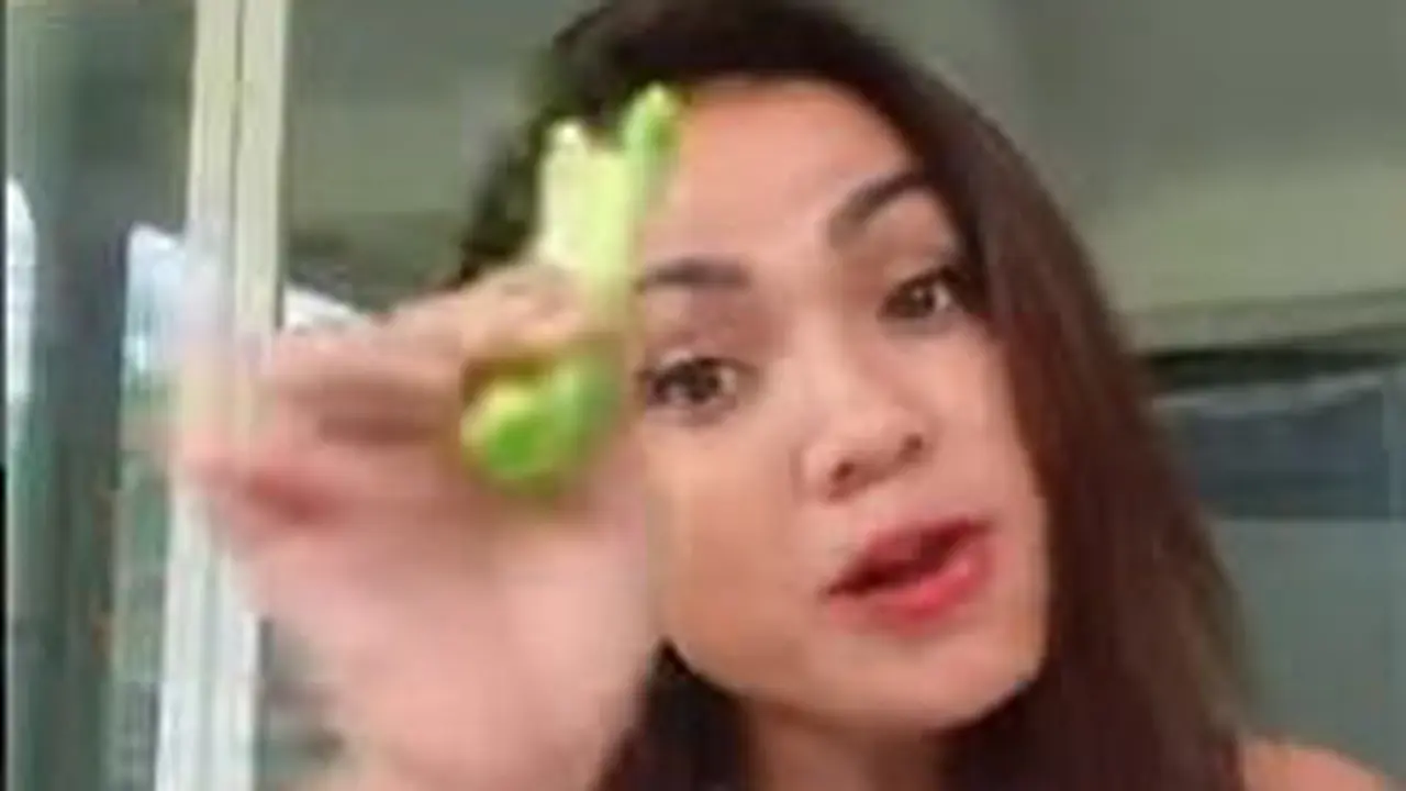 Nirina Zubir
