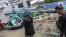 Nelayan mecopot ikan dari jaring hasil tangkapan di Muara Angke, Jakarta, Sabtu (26/2/2022). Kementerian Kelautan dan Perikanan (KKP) mengutamakan nelayan kecil dalam menentukan kuota dalam kebijakan penangkapan ikan terukur yang bakal dilaksanakan mulai tahun 2022 ini. (Liputan6.com/Faizal Fanani)