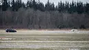 Rawa tempat Daniel Kristensen bersama ayahnya menemukan puing pesawat Perang Dunia II, Denmark, Selasa (7/3). Puing tersebut diduga adalah pesawat tempur buatan Jerman, Messerschmitt ME 109. (AFP Photo/ HENNING BAGGER)